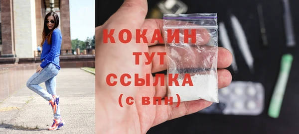 твердый Бронницы