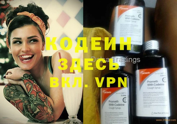 2c-b Бородино