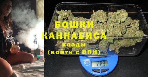 2c-b Бородино