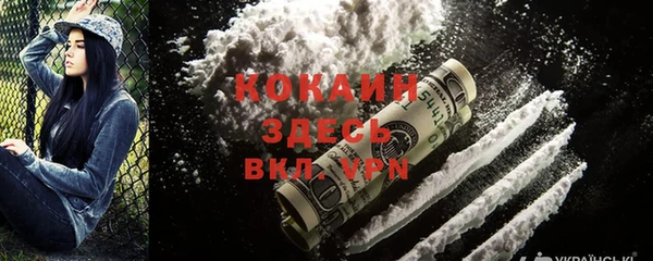 2c-b Бородино