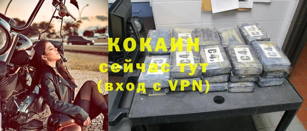 твердый Бронницы